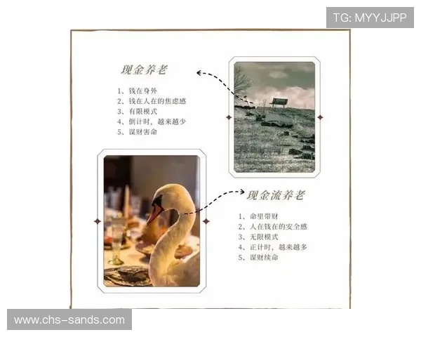 澳门皇冠现金的安全性与稳定性分析,玩家必知的风险与对策 澳门皇冠现金的安全性与稳定性分析,玩家必知的风险与对策