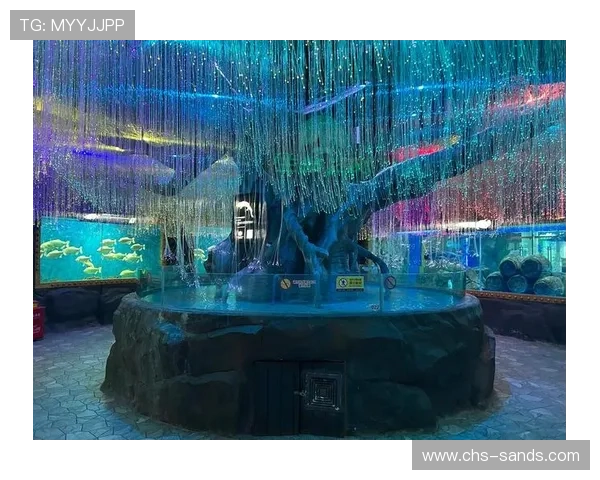 回力海立方与合作赌场的合作模式对比及合作优势分析