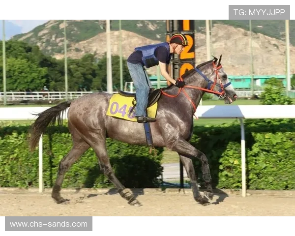 澳门宣布4月暂停举办赛马赛事，或对旅游经济带来新变化