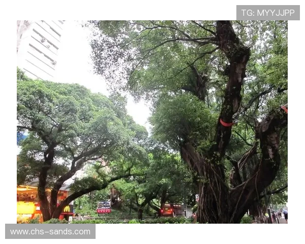 十六铺娱乐场在哪里，帮助游客了解场所的具体位置和周边环境