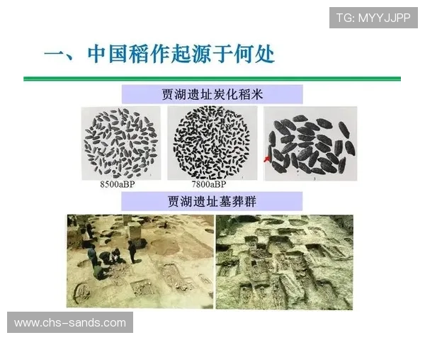 解析1331银河的形成历程与演化过程的科学理论